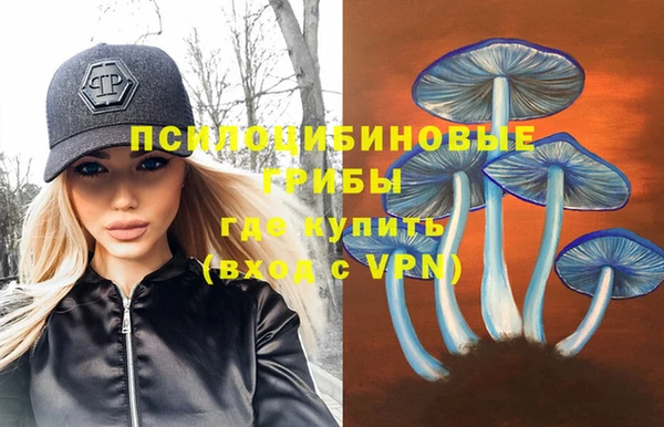 круглые Алексеевка