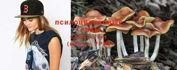 круглые Алексеевка