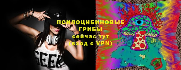 a pvp Алексин